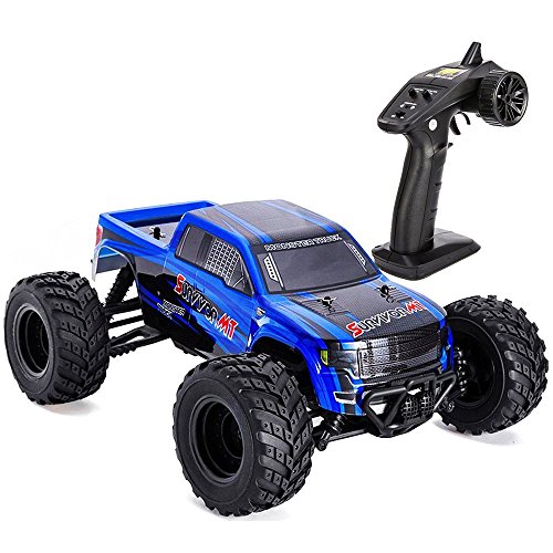 Distianert 1:12 RC Car 4WD High Speed 