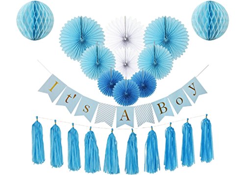 22 Pcs Baby Shower Decorations Kit For Boy It S A Boy Banner Tissue Paper Fans Honeycomb Paper Balls Tassels Blue Gold Foil Hanging Party Supplies Indoor Outdoor The Frumcare Store,Dont Buy A House In 2017
