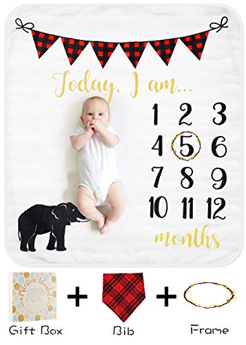 personalized baby monthly milestone blanket