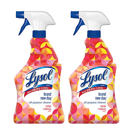 Lysol All Purpose Cleaner Trigger Brand New DayTM Mango & Hibiscus 22